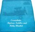 Biplane Toddler & Baby Blanket