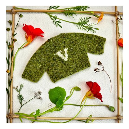 Alphabet Sweater for toy