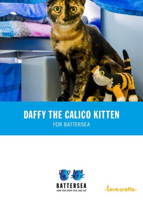 Daffy the Cat for Battersea