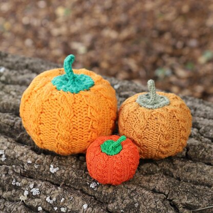 Two Cabled Pumpkins