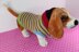 Dog Multi Colour Stripe Sweater Coat