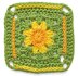 Summer Lawn Square