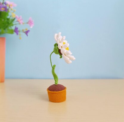 Daisy Flower