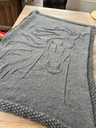 Spirit Horse Blanket