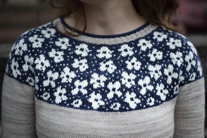 Philadelphus Pullover