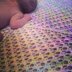 Alouette Baby Blanket