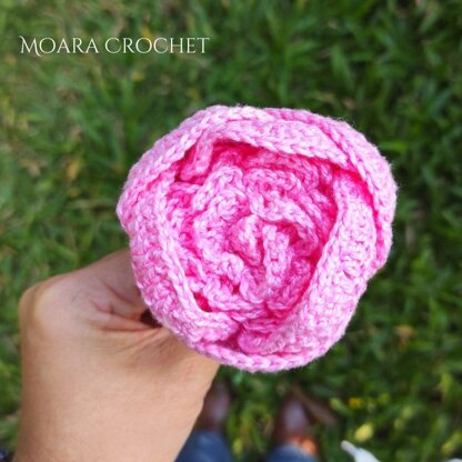 Crochet Peony Flower