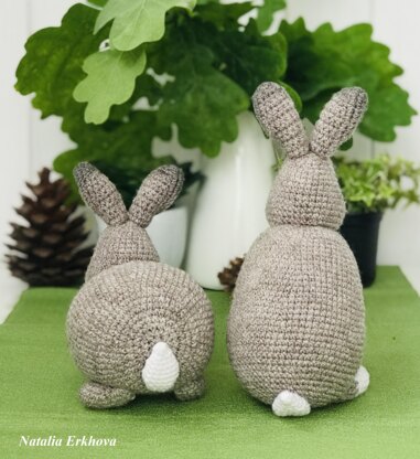 Two rabbits