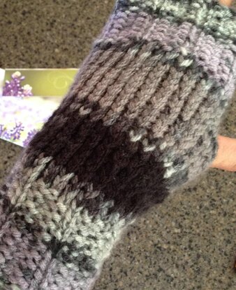 Fingerless Gloves for Two