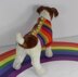 Small Dog Rainbow Back Button Up Dog Coat