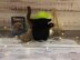 Light-up Witches Cauldron & Broomstick Chocolate Orange Cover Knitting Pattern