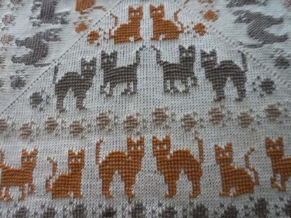 Kitties and Paws Blanket