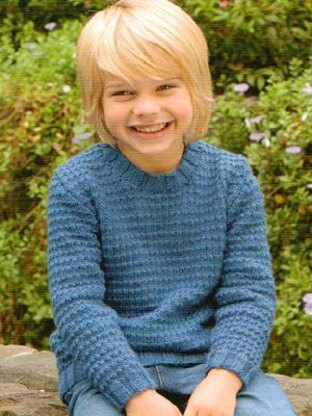 Family Favourites Book by Patons - 3827