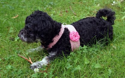Häkelanleitung Hundegeschirr optional mit hübscher Rose (für kleine Hunde) ♥