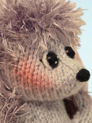 Homeward Bound Hedgehog Choc Orange Cosy