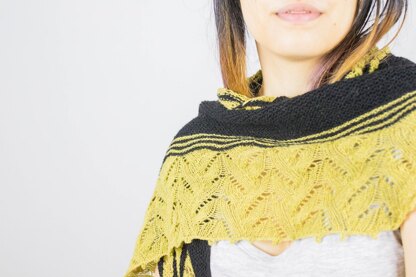 Pikorua Shawl