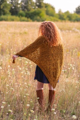 Hollywood and Vine Shawl