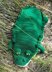 Alligator Nap Buddy