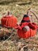 Gnome Pumpkin
