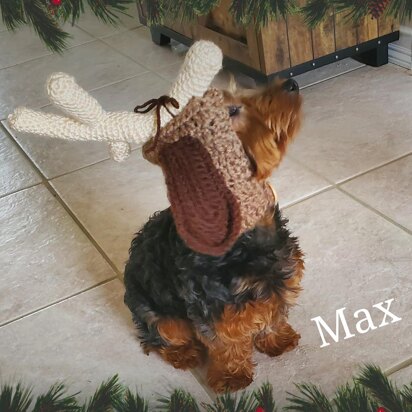 Grinch Inspired Max Dog Hood