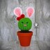 Penny the Bunny Cactus