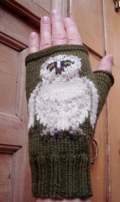 Barn Owl fingerless gloves/mitts