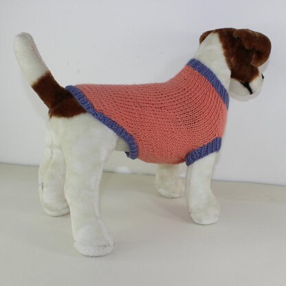 Simple Aran Dog Coat