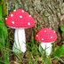Amigurumi Mushroom Small and Big