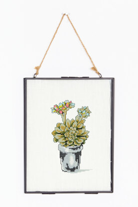 Flowering Succulent in DMC - PAT0098 - Downloadable PDF