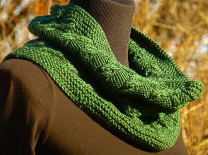 Spiced Curry Cowl