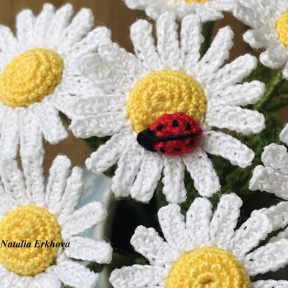 Chamomile flower and ladybug