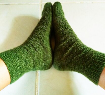 Araucaria socks