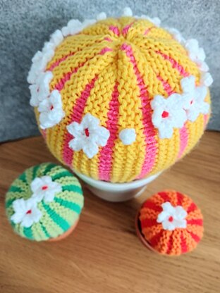 Stripy Ball Cacti