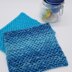 Globe Dishcloth