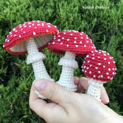 Fly agaric mushrooms