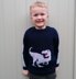 Chunky T Rex Jumper