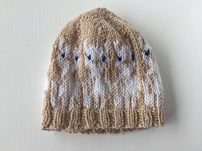 Baby Alpacas Hat