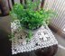 Tea Room Doily