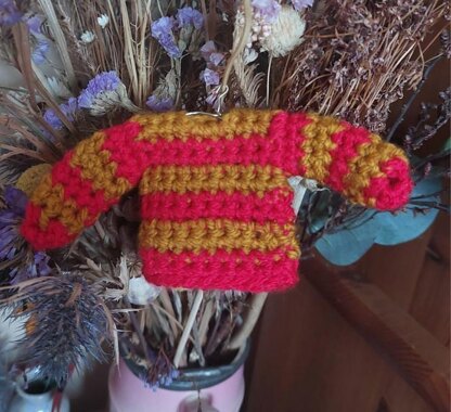 Mini sweater (jumper)