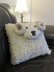 Heilan Coo & Shetland Sheep Cushions