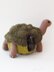 Galapagos Giant Tortoise Tea Cosy