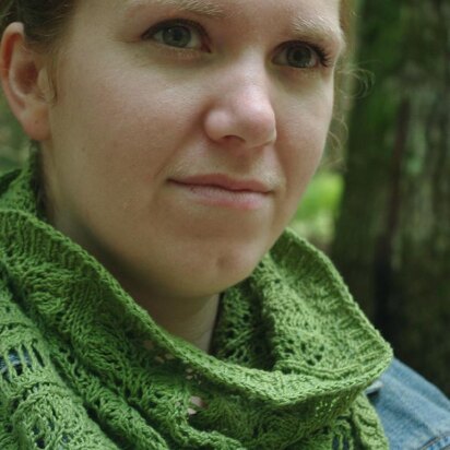 Shoots & Ladders Cowl