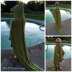 Hooded Beach Alligator Towel
