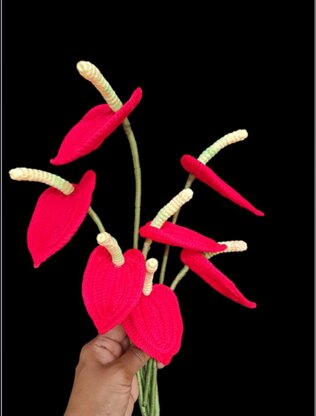 Anthurium flower