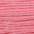 Paintbox Crafts 6 Strand Embroidery Floss 12 Skein Value Pack - Raspberry Sorbet (221)
