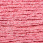 Raspberry Sorbet (221)