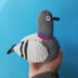 Bill the Pigeon