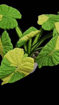 Crochet Variegated Alocasia plant