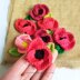 Poppy Flower
