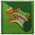 Tropical animals Knit Pattern Set - Panda, Toucan, Lemur and Frog